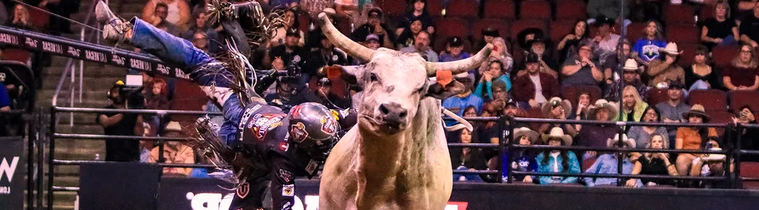 PBR - Unleash The Beast