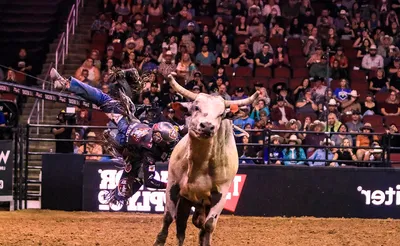 PBR - Unleash The Beast